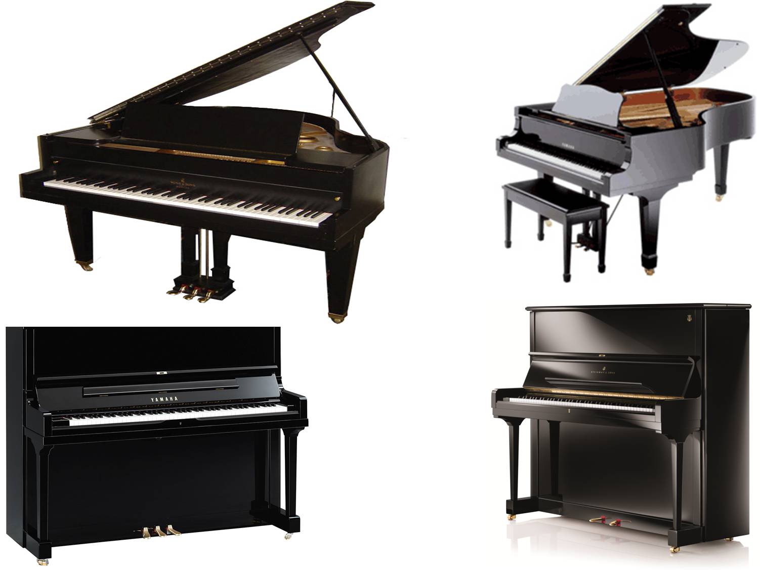 piano on rent mysore